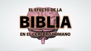 El efecto de la BIBLIA en el cerebro [upl. by Harvard3]