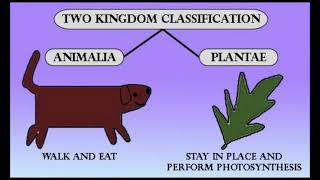 Prokaryotic and Eukaryotic Cell  Five Kingdom Classification System [upl. by Ripley]