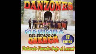 Marimba Del Estado De Oaxaca  Danzones Disco Completo [upl. by Enileuqcaj]