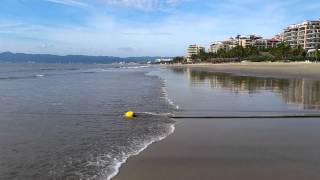 Puerto Vallarta Beach Hard Rock Puerto Vallarta [upl. by Alten]