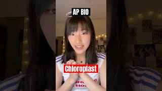 AP Bio Part 22 Chloroplast 🌱🪴 apbio biology apbiology plantbiology plant science sciences [upl. by Akiras]