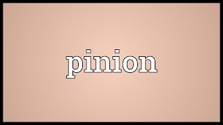 Pinion Meaning [upl. by Annayoj823]