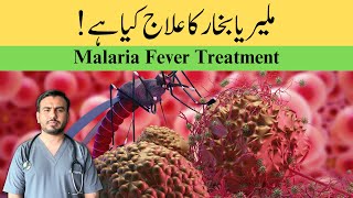 Malaria Fever Treatment in UrduHindi [upl. by Ashla733]