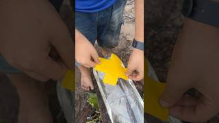 Survival Skills SMART idea and ISEFUL in forest camping outdoors bushcraft survival [upl. by Simonne]