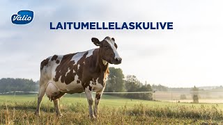 Laitumellelaskulive 1652020 [upl. by Tymothy444]