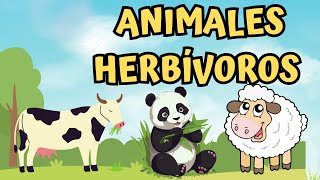 Animales Herbívoros para niños  lista de animales vocabulario [upl. by Macfadyn290]