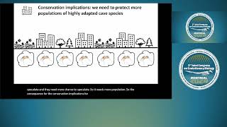 July 30th  The Completion of Speciation Coupling Persistence and the Micro Macro Link pt2 [upl. by Shatzer]