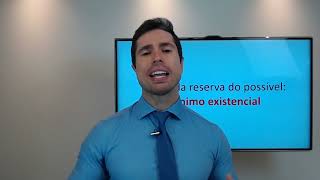 Aula 181 – Direito Constitucional Ordem Econômica e Social [upl. by Ayom557]