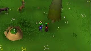 OSRS Farming Guy II He Can be a Certified Hero 14 [upl. by Idid53]