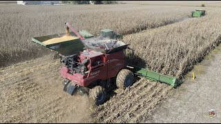 Harness Farms Corn Harvest  Frankfort Indiana [upl. by Akinat]