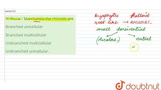 In Riccia  Marchantia the rhizoids are  12  KINGDOM PLANTAE OR METAPHYTA  BIOLOGY  DINESH [upl. by Hegyera194]