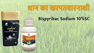 धान का खरपतवारनाशी  Bispyribac Sodium 10SC [upl. by Mcmillan]