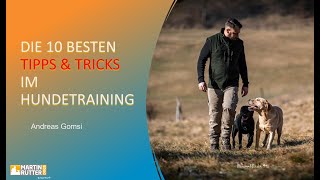 Die 10 Besten Tipps amp Tricks im Hundetraining [upl. by Niltiak]