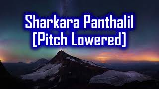 Sharkara Panthalil Karaoke Pitch Lowered [upl. by Annoeik]