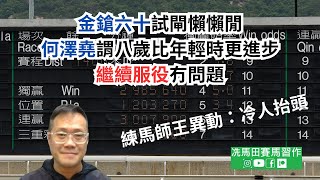 「金鎗六十」試閘懶懶閒，何澤堯謂八歲比年輕時更進步，繼續服役冇問題練馬師王異動：冷人抬頭《賠率第二擊》2024年4月3日沙田夜賽 [upl. by Conrad483]