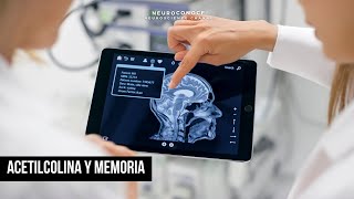 Acetilcolina El secreto detrás de la Memoria el Aprendizaje y la Atención [upl. by Elsi]