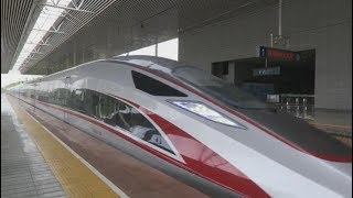 CR400AF China High Speed Railway 中國复兴号高鐵 G1013武汉往深圳 Wuhan to Shenzhen Train [upl. by Sidon]