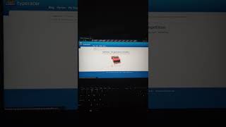 Typeracer Python Bot [upl. by Jill]
