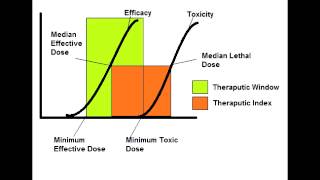 Therapeutic Index amp Therapeutic Window [upl. by Nroht459]