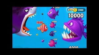 Fishdom Ads Mini Games new 409 Update video Hungry Fish 🐠  New update level Trailer video 2024 [upl. by Eirojam]