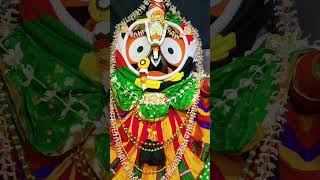 ଖସି ପଡ଼ିଥିଲା ମୟୂର🦚 ଚନ୍ଦ୍ରିକା 🌿jayjagannath viralvideo shortvideo [upl. by Jegar]