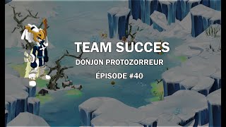 DOFUS Passage Protozorreur Duo  Team Succès 40 [upl. by Olly321]