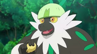 Passimian Pokemon all Attacks pokemon passimian all new attacks youtubevideo [upl. by Ajay]