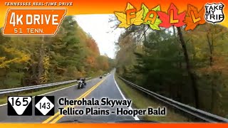 Fall drive on the Cherohala Skyway Tellico Plains Tennessee into North Carolina in Autumn in 4K [upl. by Foscalina526]