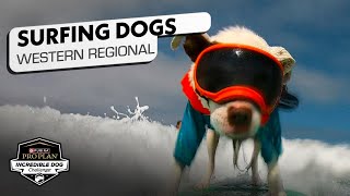 Incredible Dog Challenge Dog Surfing Western Regional  NBC Sports [upl. by Aiciram954]