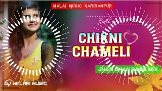 chikni chameli di song [upl. by Legir637]