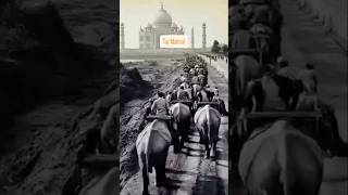 Taj Mahal 🏰 Taj Mahal vibe love tajmahal hindisong ￼￼ [upl. by Ettener]