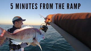 Catching fish 5 minutes from the boat ramp  Snapper softbait fishing New Zealand [upl. by Esilahc]