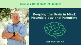 Keeping the Brain in Mind Neurobiology and Parenting [upl. by Vicki]