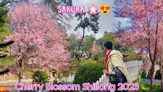 Jasleen Royal Live Performance  Raw Footage from Cherry Blossom Festival 2024 Meghalaya [upl. by Tikna276]