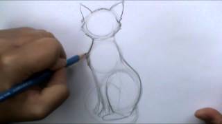 How to draw a basic cat sitting [upl. by Salangi597]