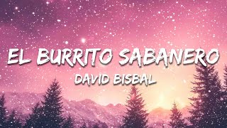 David Bisbal  El Burrito Sabanero Letra  Lyrics [upl. by Aynahs]