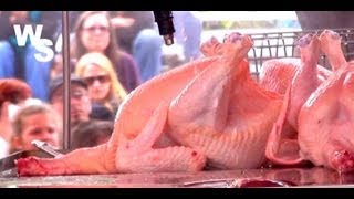 How To Butcher a Chicken Joel Salatin [upl. by Eidda]