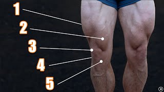 Exercises for Knee Pain 5 Things You Must Do [upl. by Willa134]