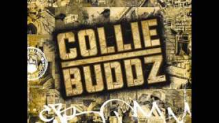 Collie Buddz  Collie Buddz  Come Around HQ [upl. by Ulrick]