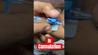 Iv cannulation cannula ivtherapy mbbs aiims SMpharmacy subscribe medicalequipment [upl. by Yotal182]