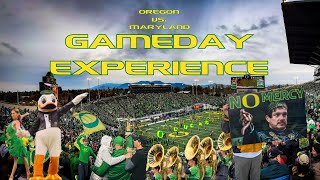 GAMEDAY EXPERIENCE  Oregon vs Maryland [upl. by Aerdnas]