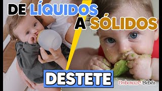 DESTETE  Alimentación Complementaria 🍽️👶 PASOS para un Destete Respetuoso [upl. by Faustus]