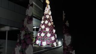 PASKONG PINOY 2024 CHRISTMAS 2024 shorts short shortvideos mariveles fab marivelesbataan [upl. by Bran]