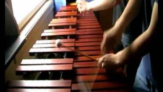 Zelda Links Awakening  Tal Tal Heights on Marimba [upl. by Rodman]