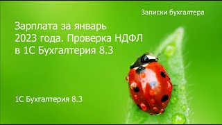 Зарплата за январь 2023 г Механизм удержания НДФЛ Новый отчет вместо СЗВМ в 1С БП 83 [upl. by Casilda]