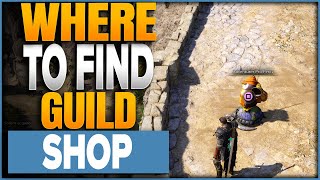 Where To Find The Guild Shop In Throne And Liberty [upl. by Cathrin659]