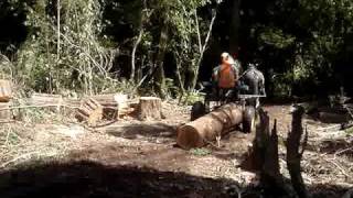 horse logging nz [upl. by Chaing527]