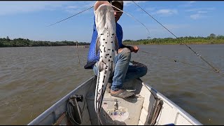 Pescado sudado  pescado asado  campamento a la orilla del río y pura pesca con anzuelo [upl. by Denbrook]