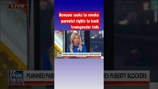 Kayleigh McEnany rips Newsom’s efforts to abet transgender kids shorts [upl. by Cecilia]