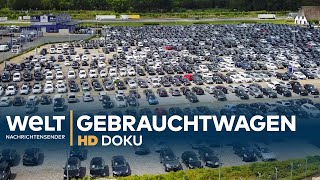 Heiligs Blechle  Deutschlands größter Gebrauchtwagenhandel  Doku [upl. by Fleeman]